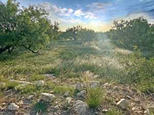 TBD W Hwy 190 (16)