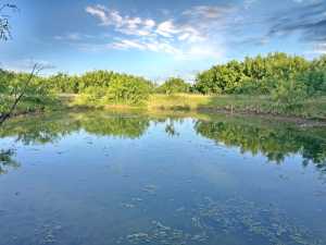 TBD W Hwy 190 (17)