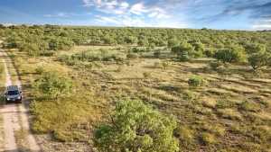 TBD W Hwy 190 (3)