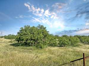 TBD W Hwy 190 (8)
