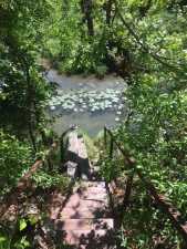 13914 S Dove Creek Rd (33)