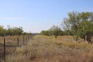 Hwy 67 (14)