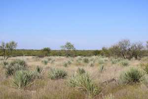 Hwy 67 (16)