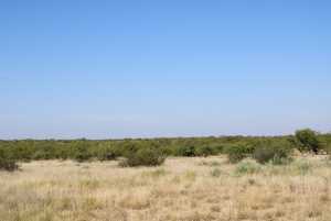 Hwy 67 (17)