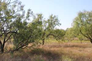 Hwy 67 (21)