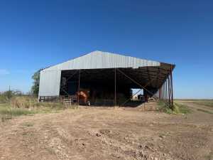 850 County Road 425 (11)