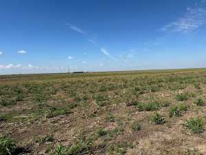 850 County Road 425 (3)