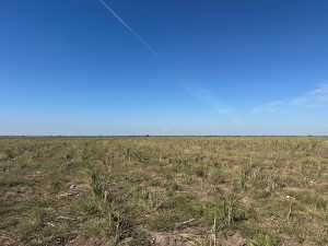 850 County Road 425 (4)