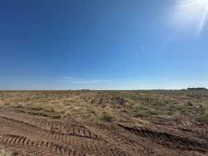 850 County Road 425 (5)