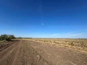 850 County Road 425 (6)