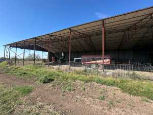 850 County Road 425 (8)