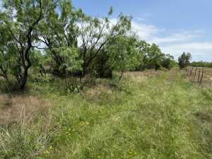 County Rd 211 (3)