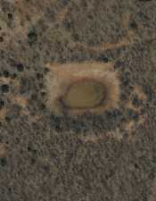 County Rd 211 (15)