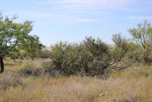 County Rd 130 (11)