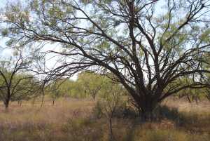 County Rd 130 (14)