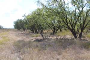 County Rd 130 (17)