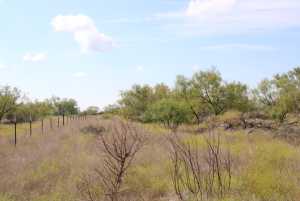 County Rd 130 (18)