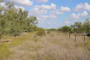 County Rd 130 (19)