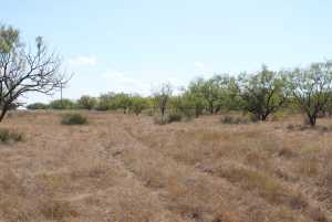 County Rd 130 (2)
