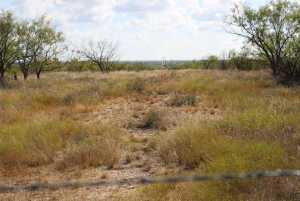 County Rd 130 (20)