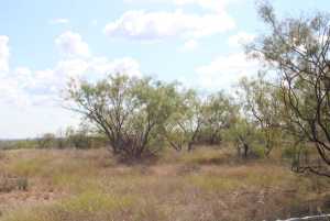 County Rd 130 (22)
