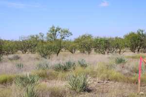 County Rd 130 (3)