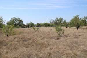 County Rd 130 (5)