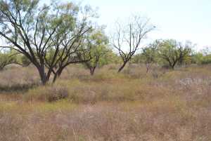 County Rd 130 (7)