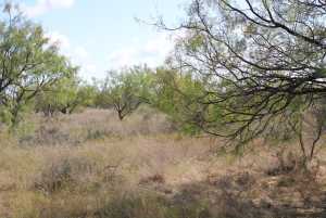 County Rd 130 (9)