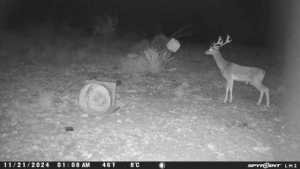 TBD Deer Run Rd (11)