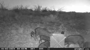 TBD Deer Run Rd (12)