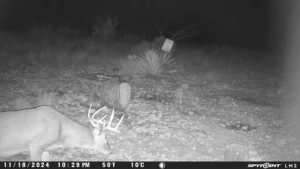 TBD Deer Run Rd (15)