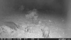 TBD Deer Run Rd (16)