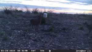 TBD Deer Run Rd (17)