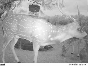 2745 County Rd 297 (21)