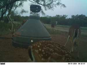 2745 County Rd 297 (24)