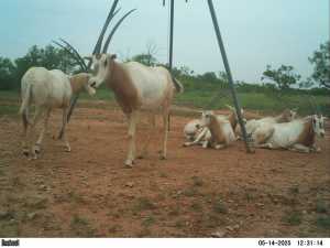 2745 County Rd 297 (25)