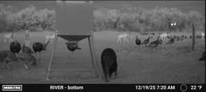 2745 County Rd 297 (2)