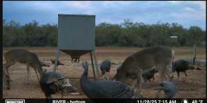 2745 County Rd 297 (3)