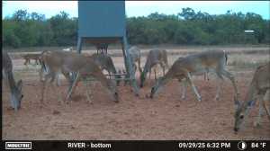 2745 County Rd 297 (15)