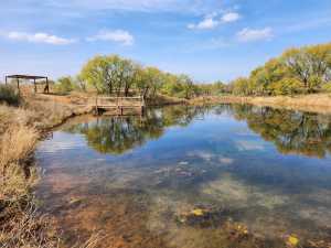 2745 County Rd 297 (19)