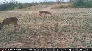 584 County Rd 211 (2)
