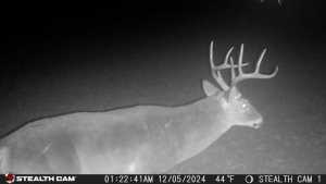 584 County Rd 211 (3)
