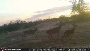584 County Rd 211 (4)