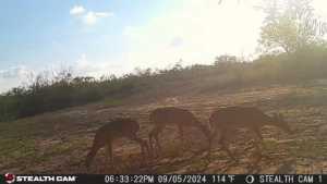 584 County Rd 211 (5)