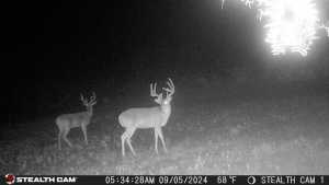 584 County Rd 211 (6)