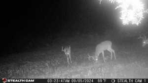 584 County Rd 211 (7)
