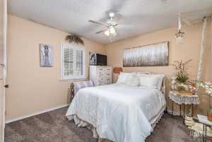 225 Edinburgh Rd (16)