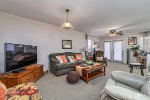 225 Edinburgh Rd (33)