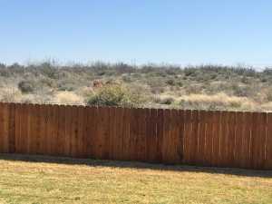 1609 Club House Lane (47)